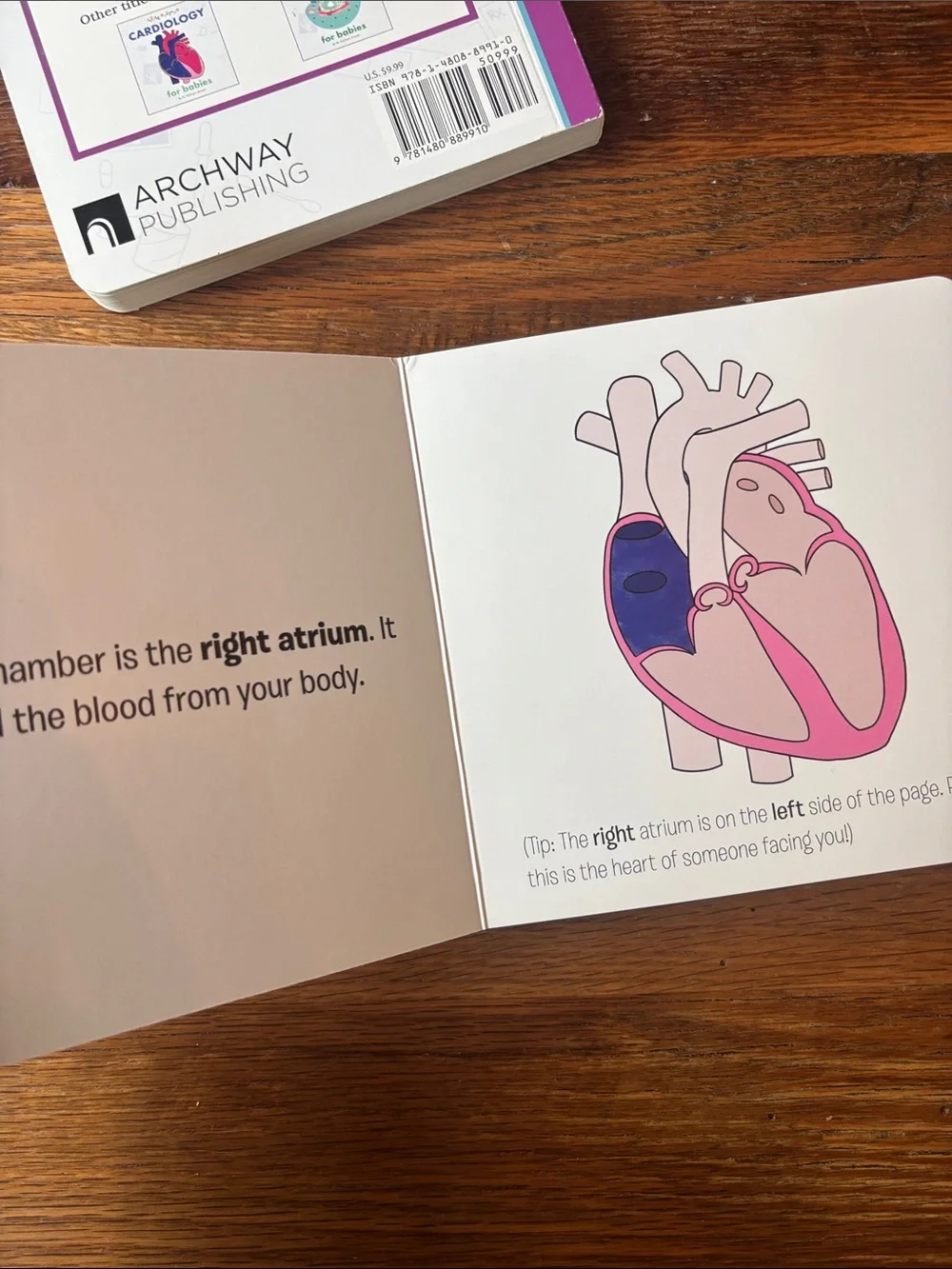 Little Doctors Neurology and cardiology for Babies Board Book - Multicolor